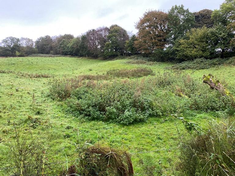 Part of the land at Yarrow Valley that Chorley Council intend purchasing